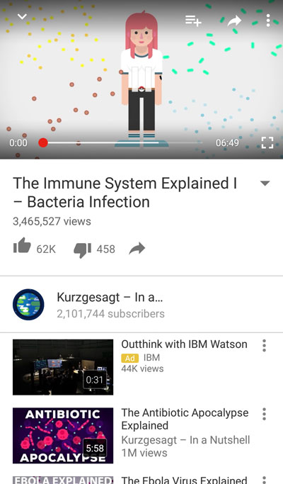 The Immune system video