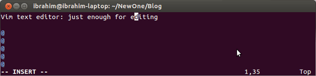 Vim Insert mode
