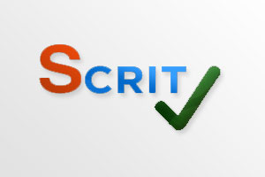 s-crit.com