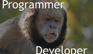 What is the difference between Programmer and Developer