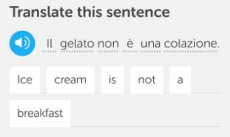 How I Didnt Learn Spanish With Duolingo - 