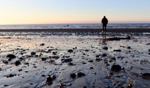 Taking Our Minds for Granted