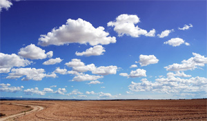 What Are You Trying to Say?