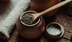 Advice from a millionaire