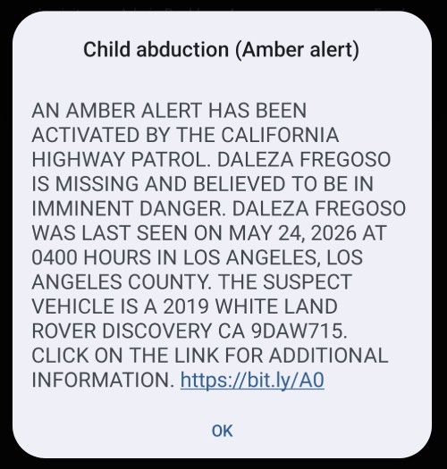 amber alert with spam link