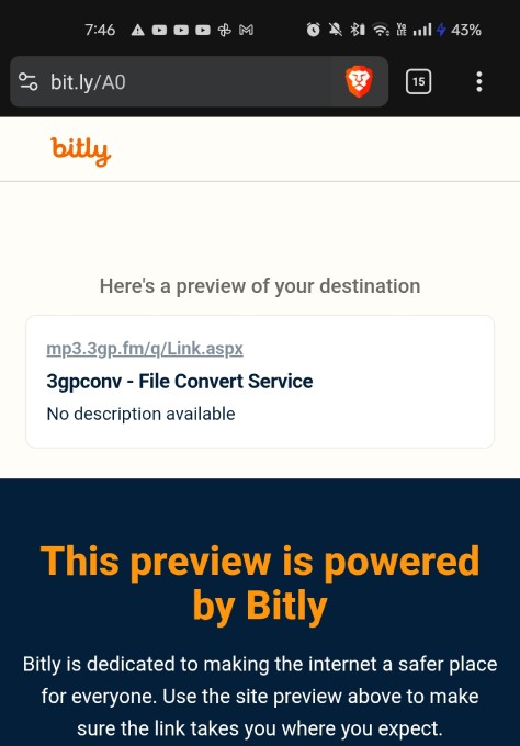 bitly preview page